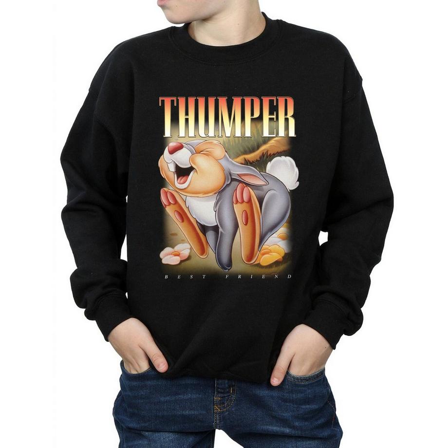Disney  Sweatshirt 