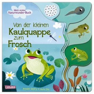 Von der kleinen Kaulquappe zum Frosch Savery, Annabel; Deo, Laura (Illustrationen) Gebundene Ausgabe 