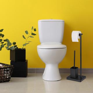 B2X WC-Garnitur mit 2 Ersatzbürstenköpfen  