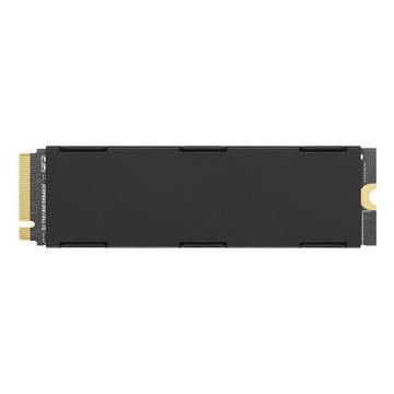 MP600 PRO Hydro X Edition (2000GB, M.2 2280)