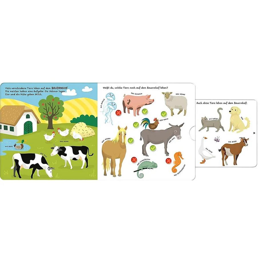 Kennst du die Tiere? Wessel, Kathrin (Illustrationen) Gebundene Ausgabe 