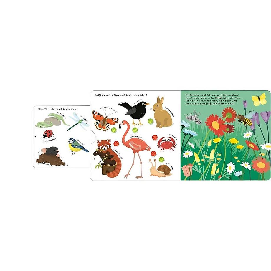 Kennst du die Tiere? Wessel, Kathrin (Illustrationen) Gebundene Ausgabe 