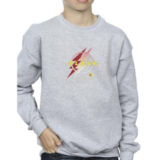 DC COMICS  Sweatshirt 