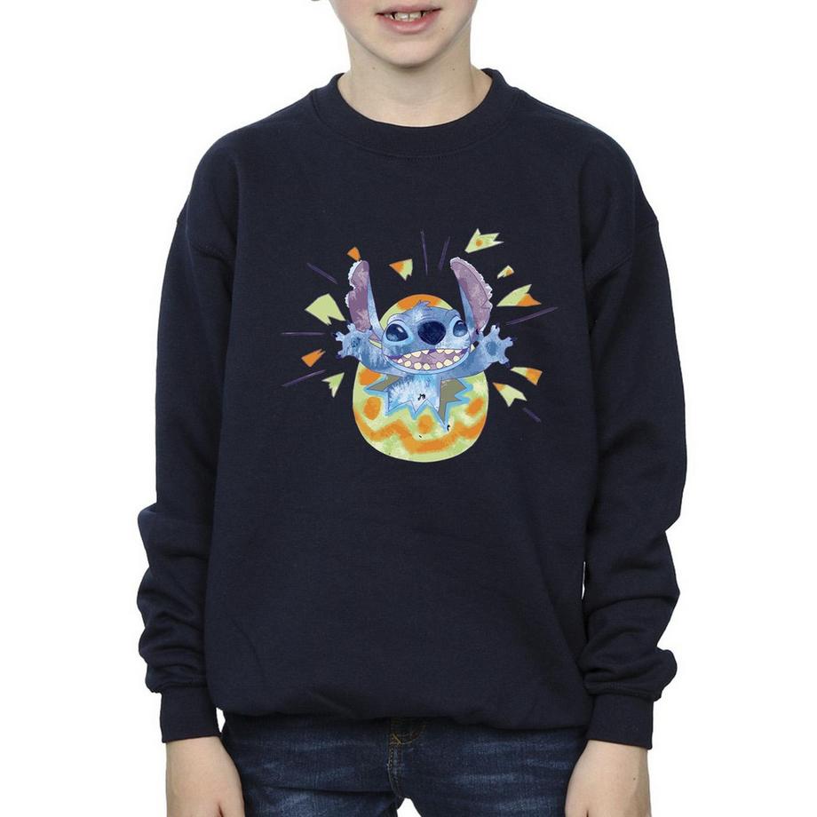 Disney  Sweatshirt 