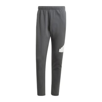 Pantalon de jogging FUTURE ICONS BADGE OF SPORT