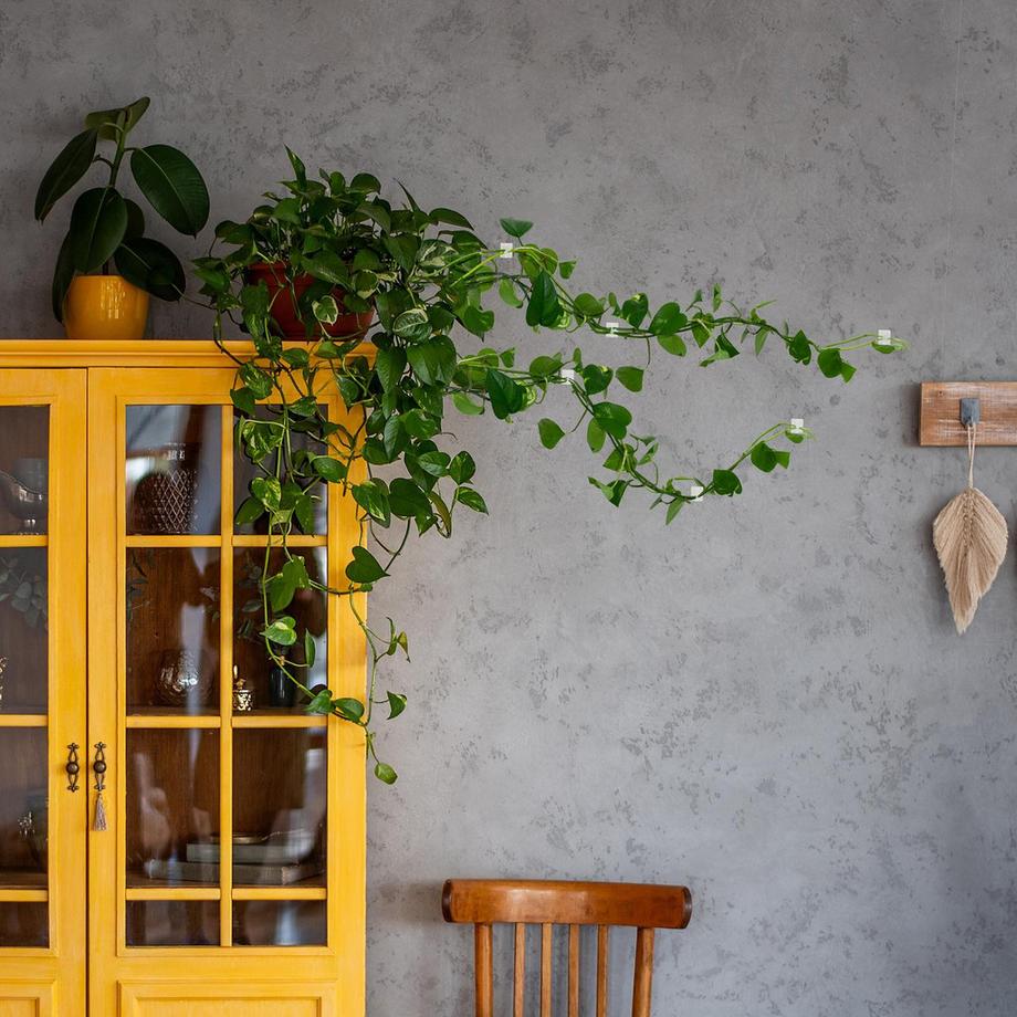 B2X Selbstklebende Pflanzenclips im 240er-Set  