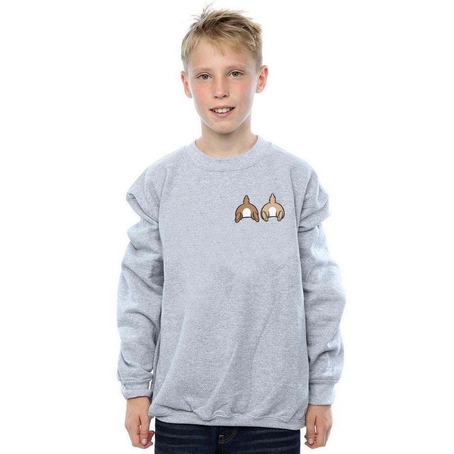 Disney  Chip N Dale Sweatshirt 