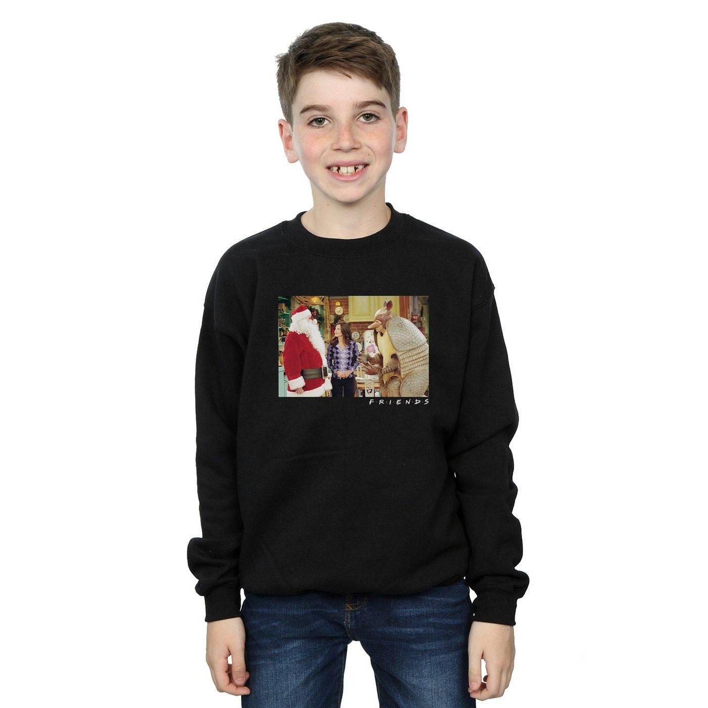 Friends  The Holiday Armadillo Sweatshirt 