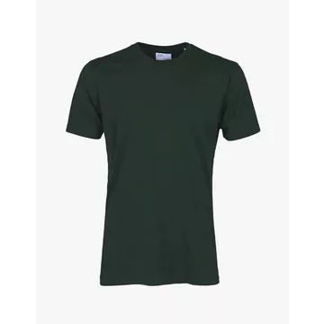 Classic Organic T-Shirt-XL