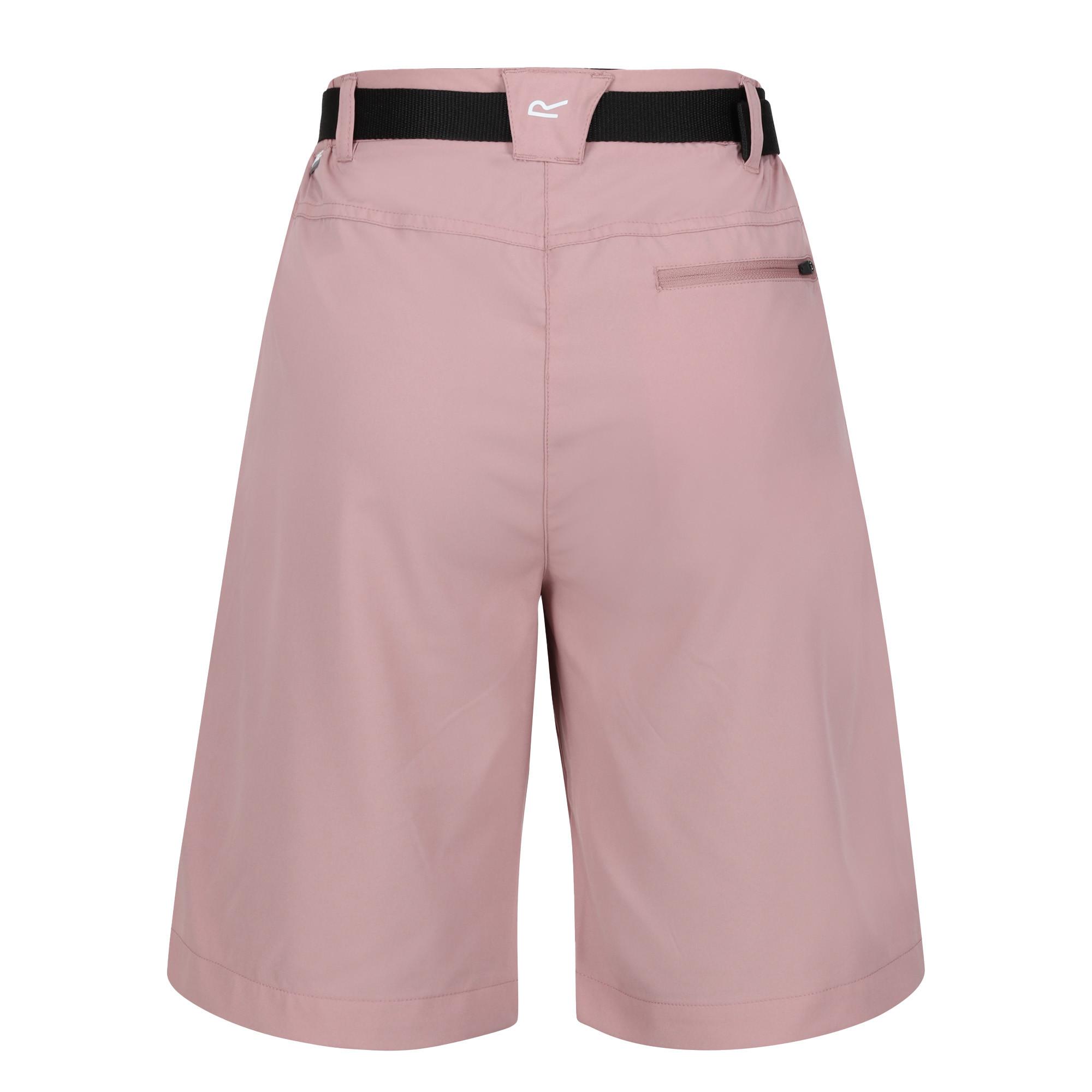 Regatta  Xert Shorts 