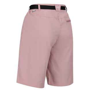 Regatta  Short XERT 