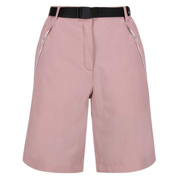 Xert Shorts