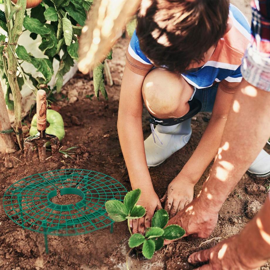 B2X  Dichtmaschiges Vogelnetz 3er Set 