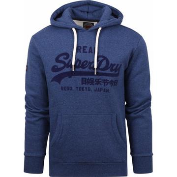 Felpa con cappuccio Superdry Toanl Vl