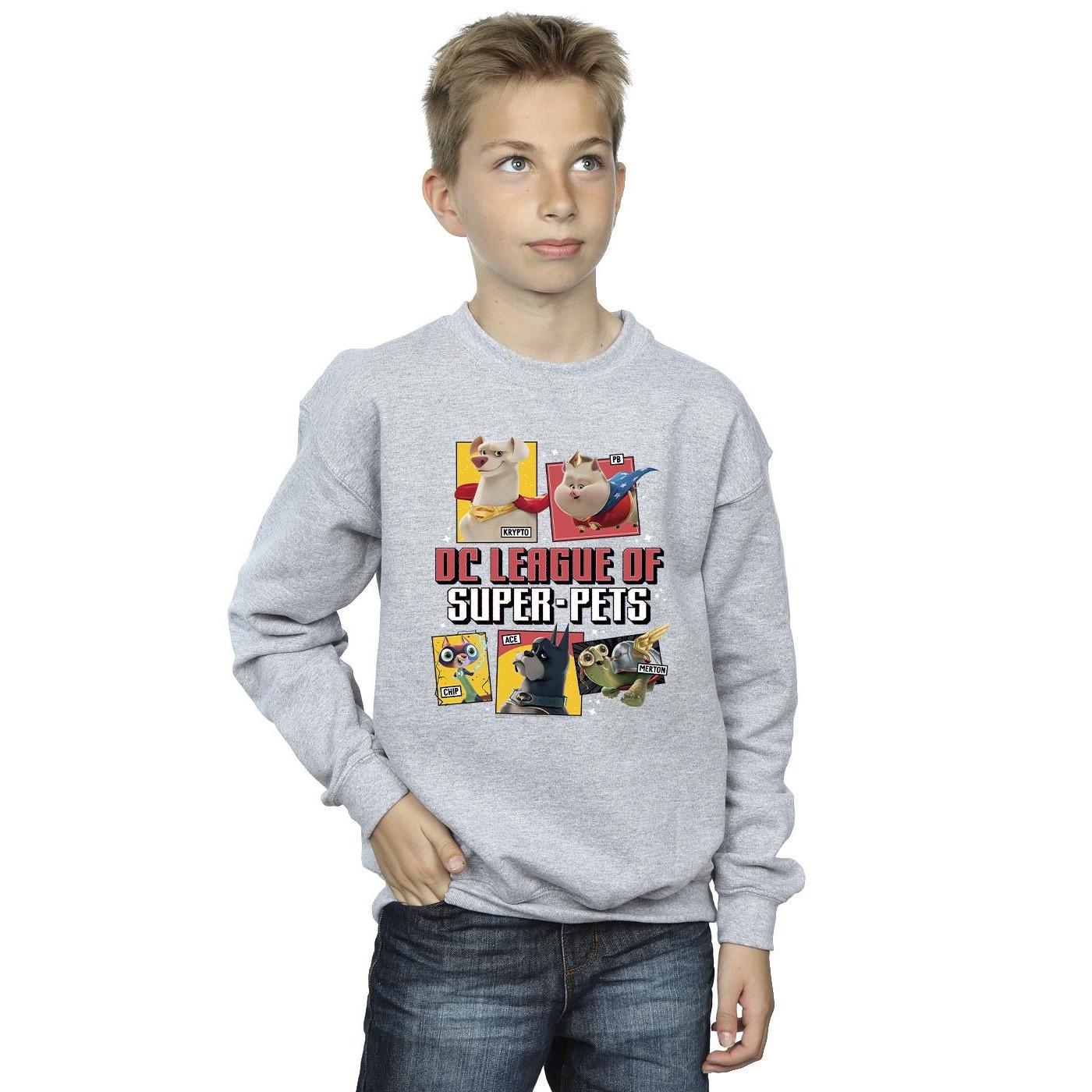 DC COMICS  DC League Of SuperPets Sweatshirt 