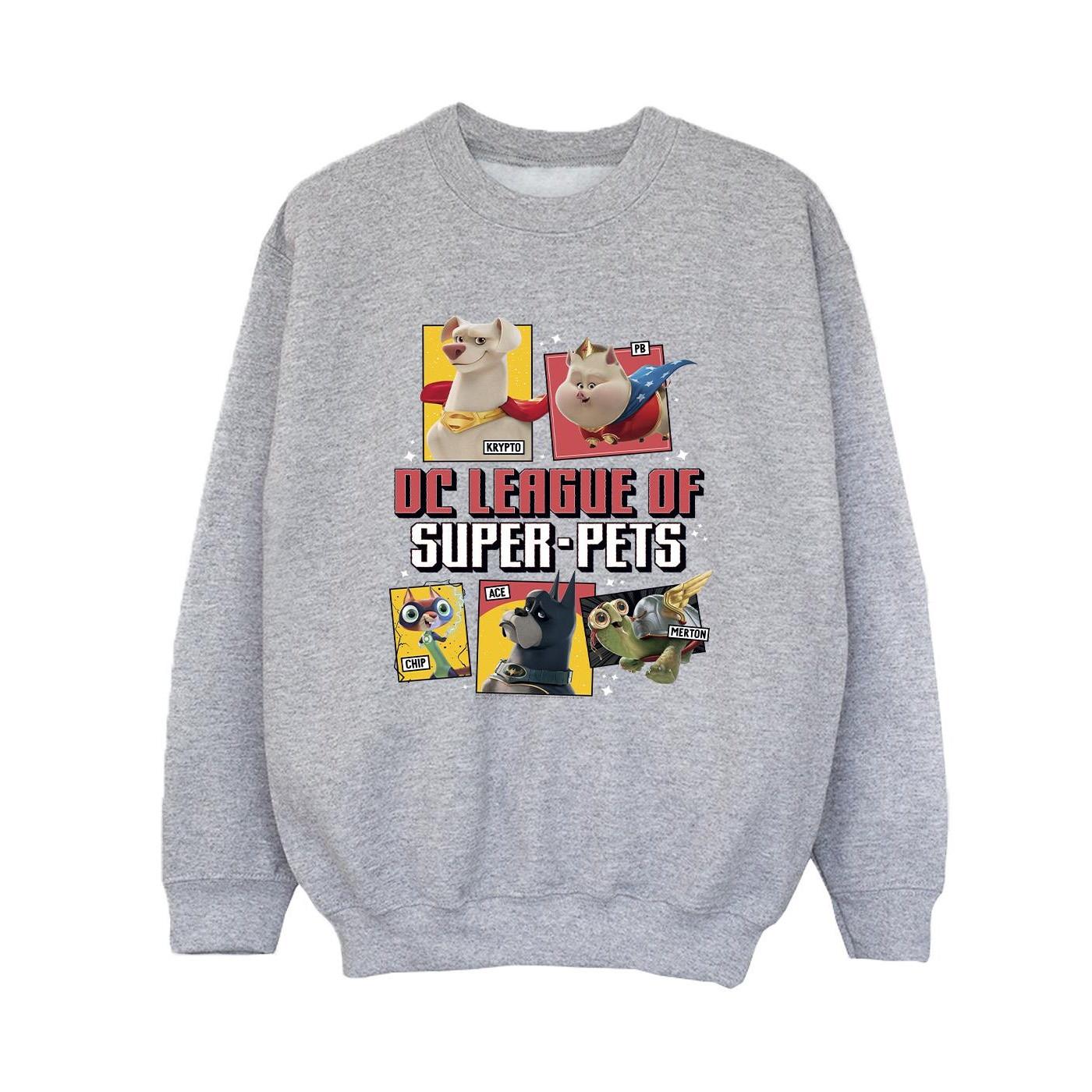 DC COMICS  DC League Of SuperPets Sweatshirt 