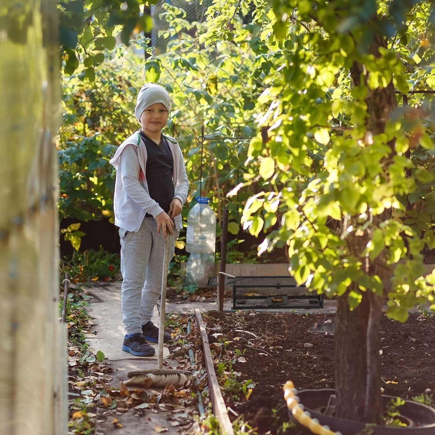 Northix Trappola per topi cattura e rilascia  