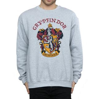 Harry Potter Gryffindor Stemma Felpa  