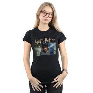 HARRY-POTTER  Tshirt STEAM EARS 