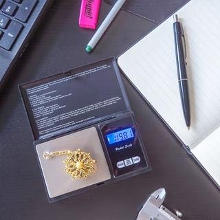 Intirilife Balance Numérique Fine  