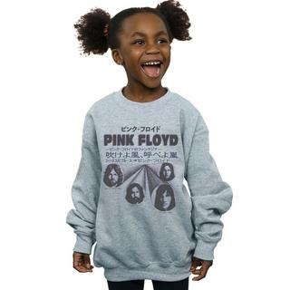 Pink Floyd  Sweatshirt 