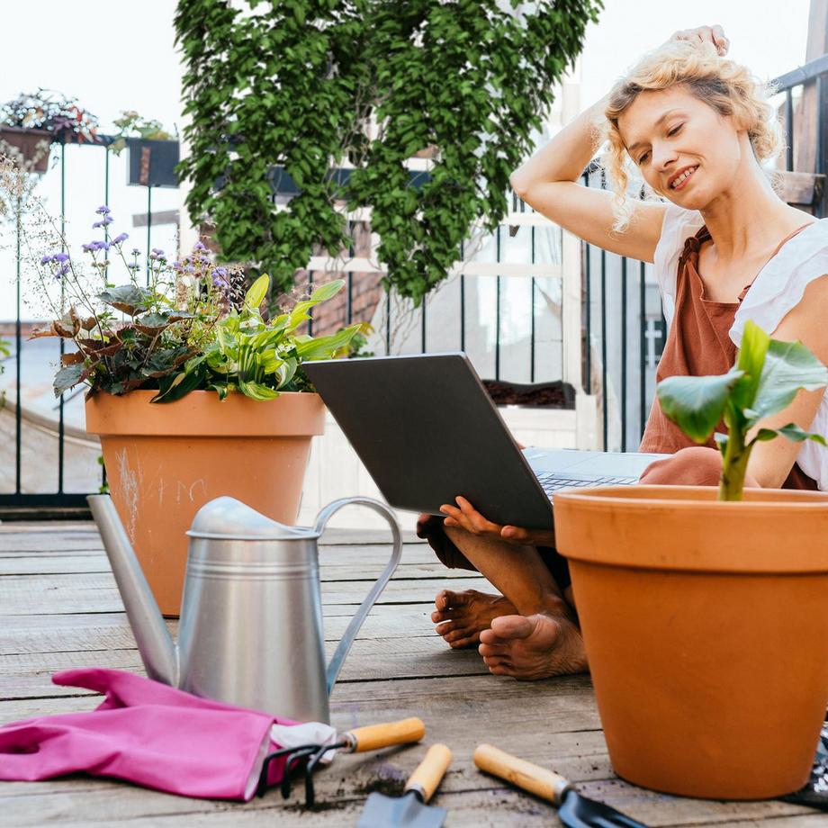 B2X Pflanzkasten mit Spalierwand in Weiß  