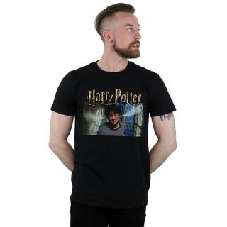 Harry Potter Dursleys Fenster T-Shirt  