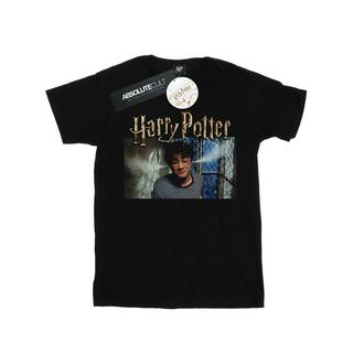 Harry Potter Dursleys Fenster T-Shirt  