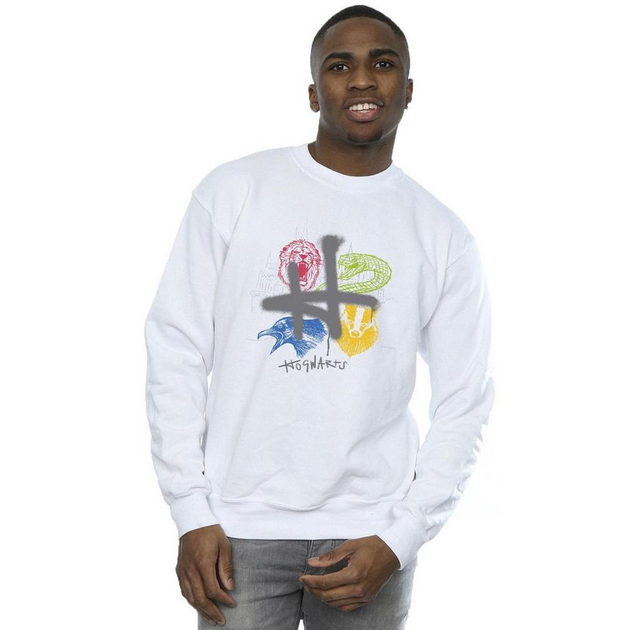 Harry Potter Hogwarts Maisons Sweatshirt Graphique  
