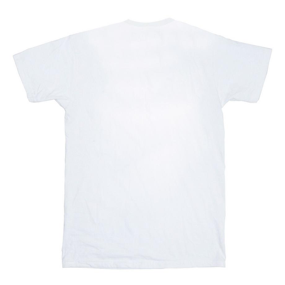 DC COMICS  Rogues Gallery TShirt 