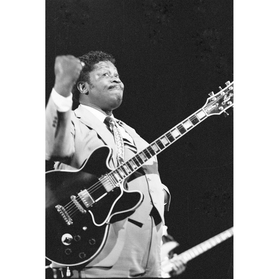 Amplified Joe Wise B.B. King T-Shirt Stampa Grafica  