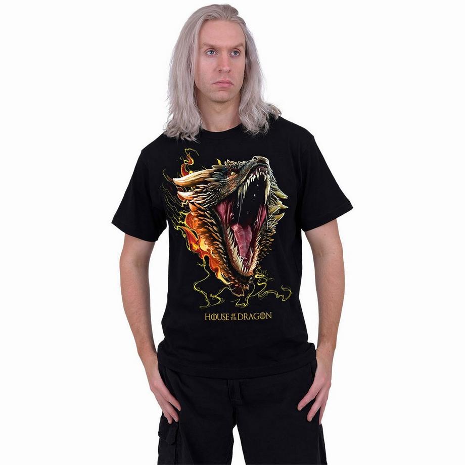 Hbo T-Shirt Imprimé Graphique Drogon  