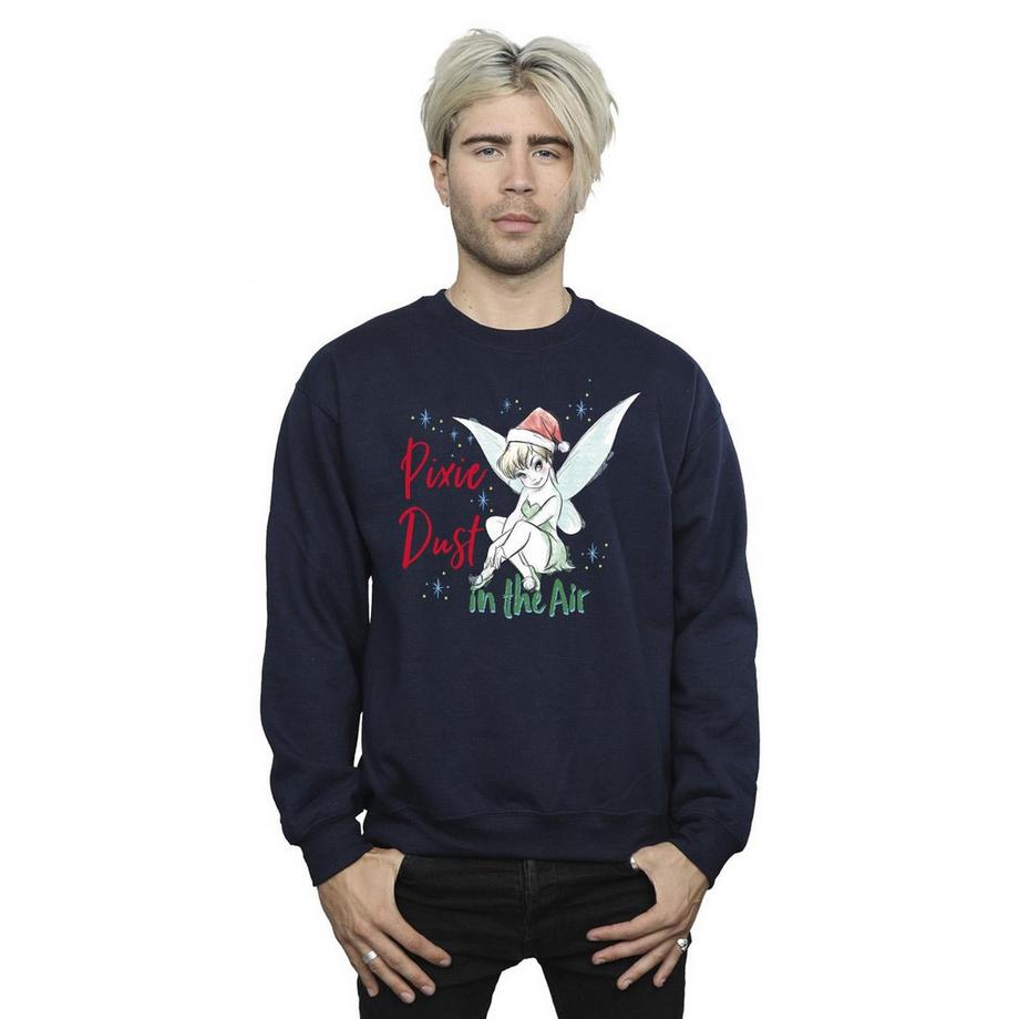 Disney Pixie Dust Sweatshirt  