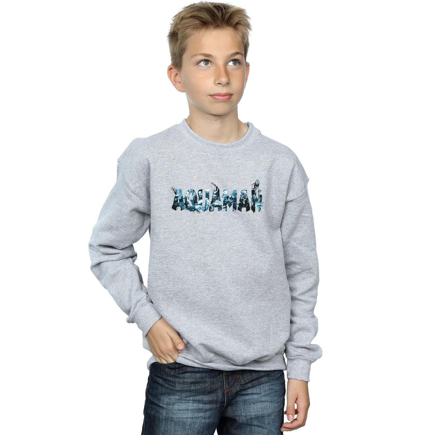 DC COMICS  Sweatshirt 