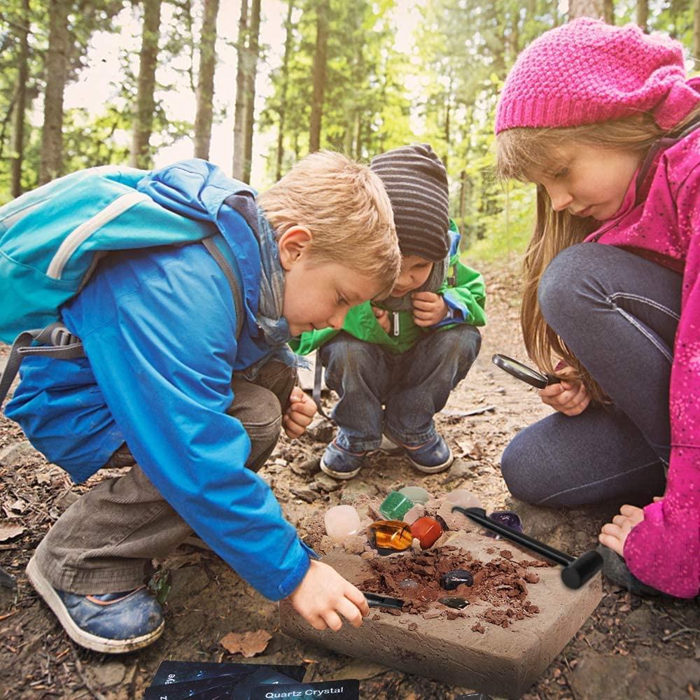 Activity-board  Ausgrabungsset für Kinder, Edelstein-Ausgrabungsset mit 12 Geologiesteinen 