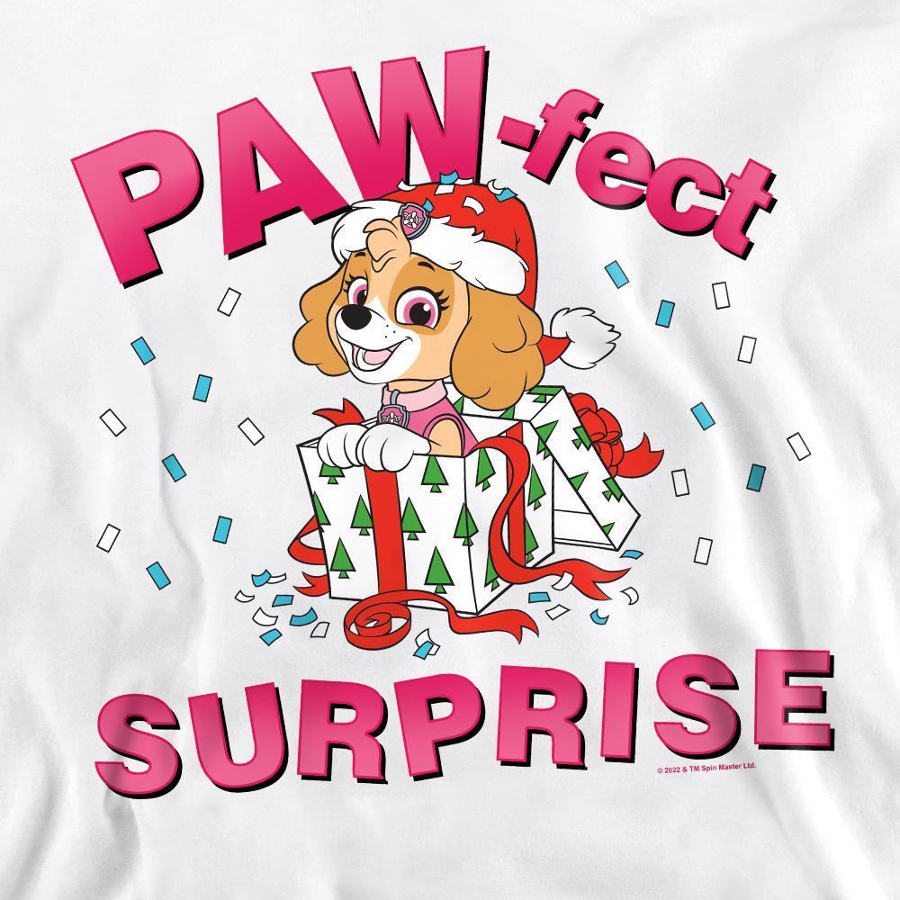 PAW PATROL The PawFect Christmas Gift Sweatshirt  