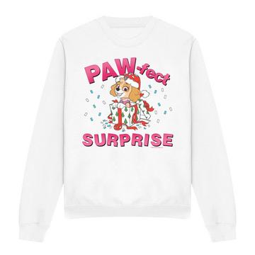 The PawFect Christmas Gift Sweatshirt