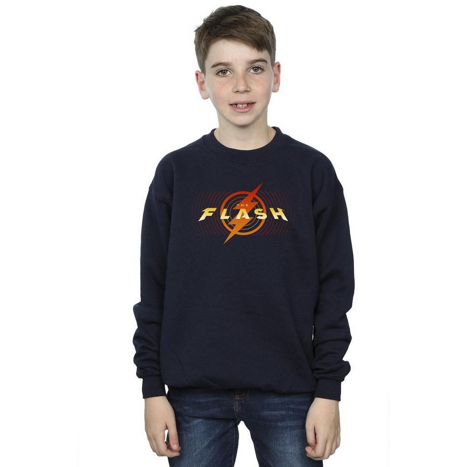 DC COMICS  Sweatshirt 