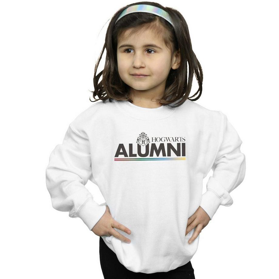 Harry Potter  Hogwarts Sweatshirt 