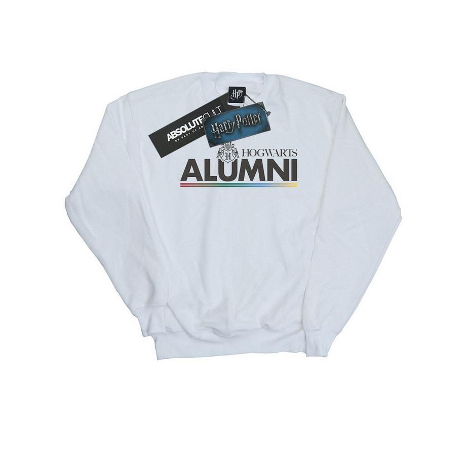 Harry Potter  Hogwarts Sweatshirt 