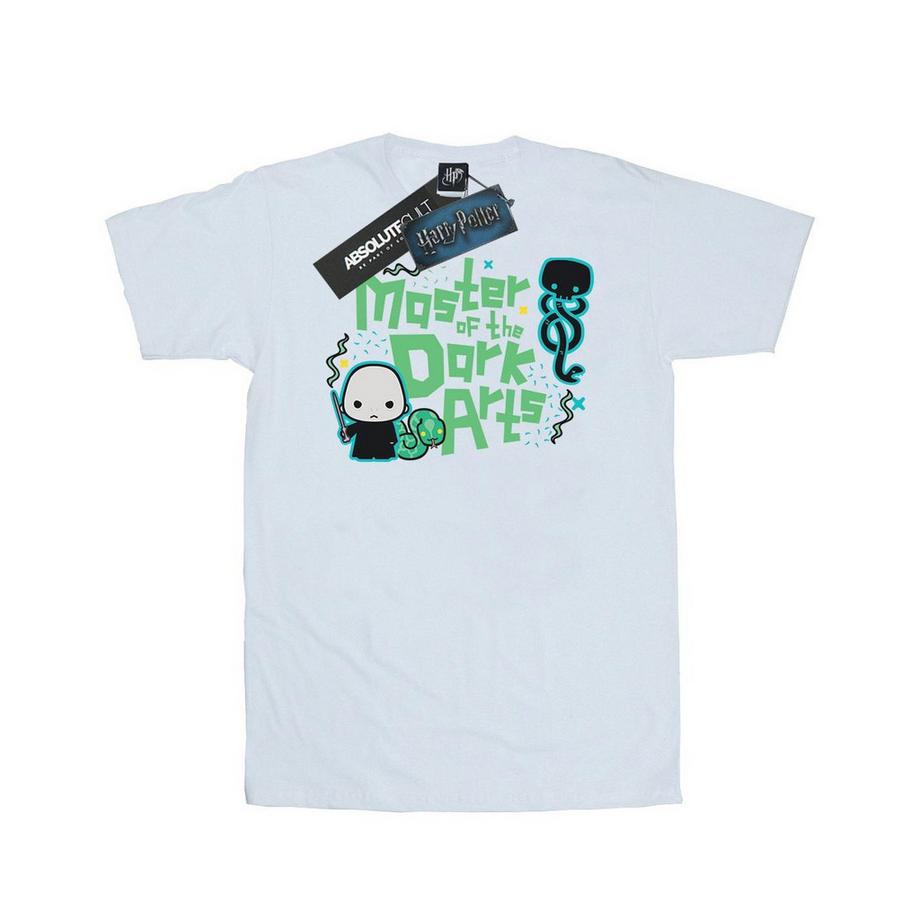 Voldemort Dark Arts Junior TShirt