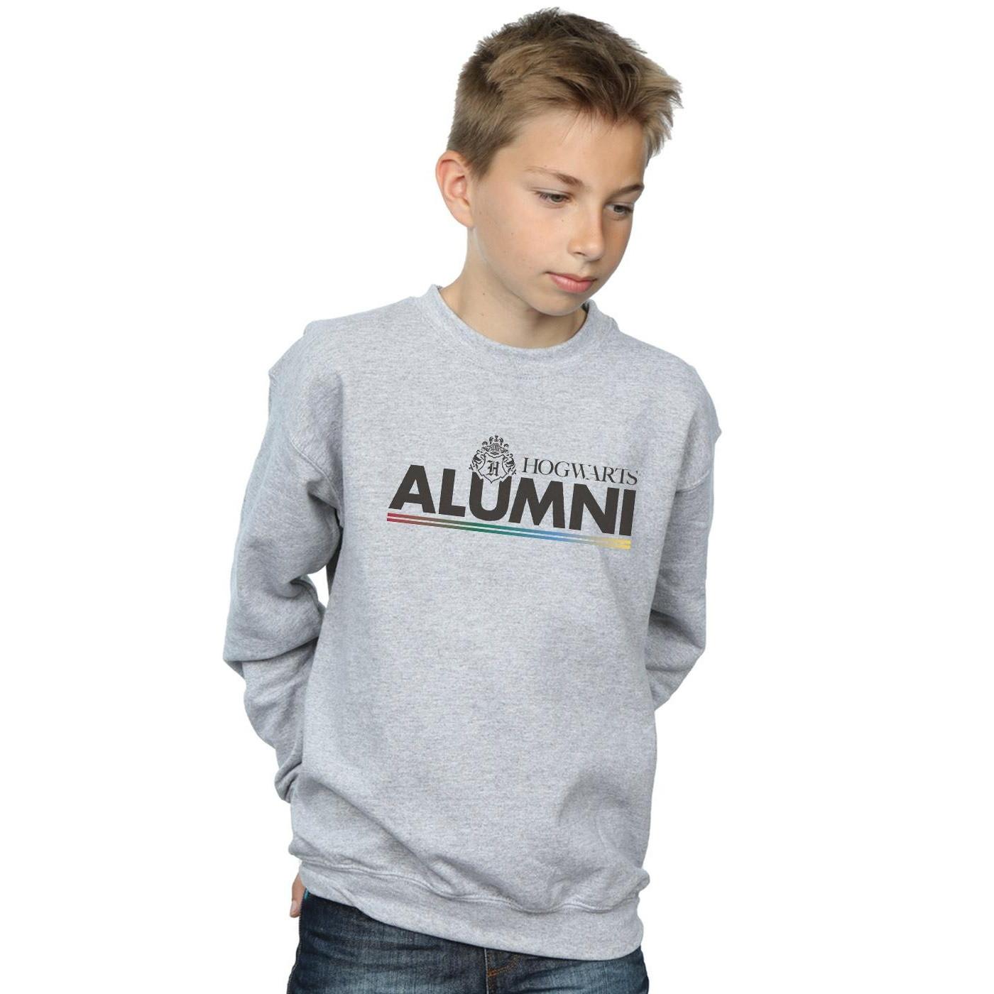 Harry Potter  Hogwarts Sweatshirt 