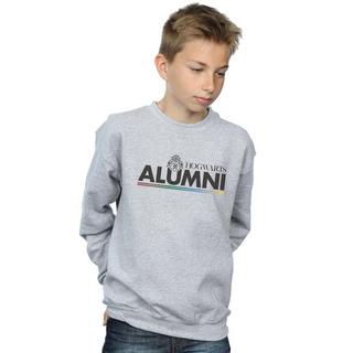 Harry Potter  Hogwarts Sweatshirt 