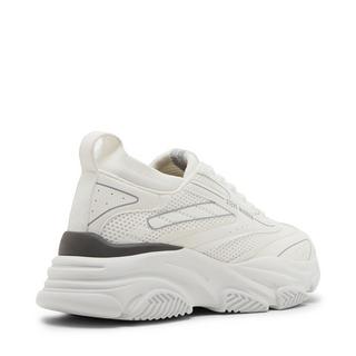 STEVE MADDEN  sneakers polaris 