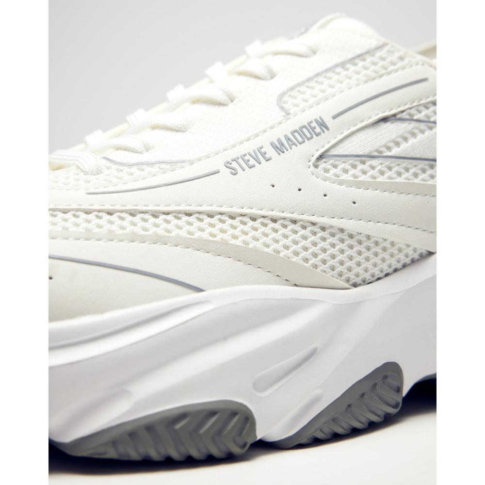 STEVE MADDEN  sneakers polaris 