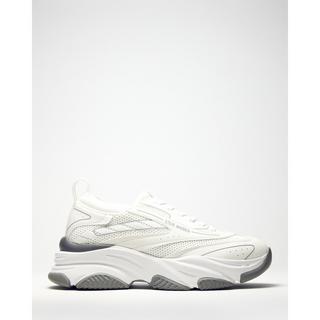 STEVE MADDEN  sneakers polaris 