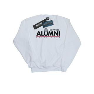 Harry Potter Hogwarts Gryffindor Sweatshirt  