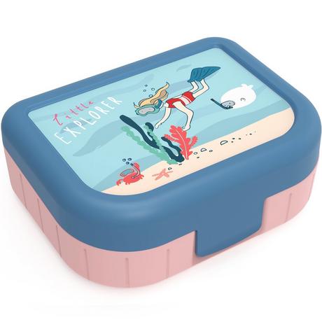 rotho  Rotho 1016411026 Brotdose Lunchpaket 1 l Kunststoff Blau, Pink 1 Stück(e) 