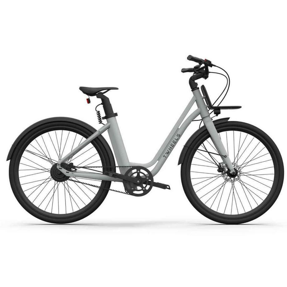 TWHEELS  Front-Gepäckträger für E-Bike City Classic 