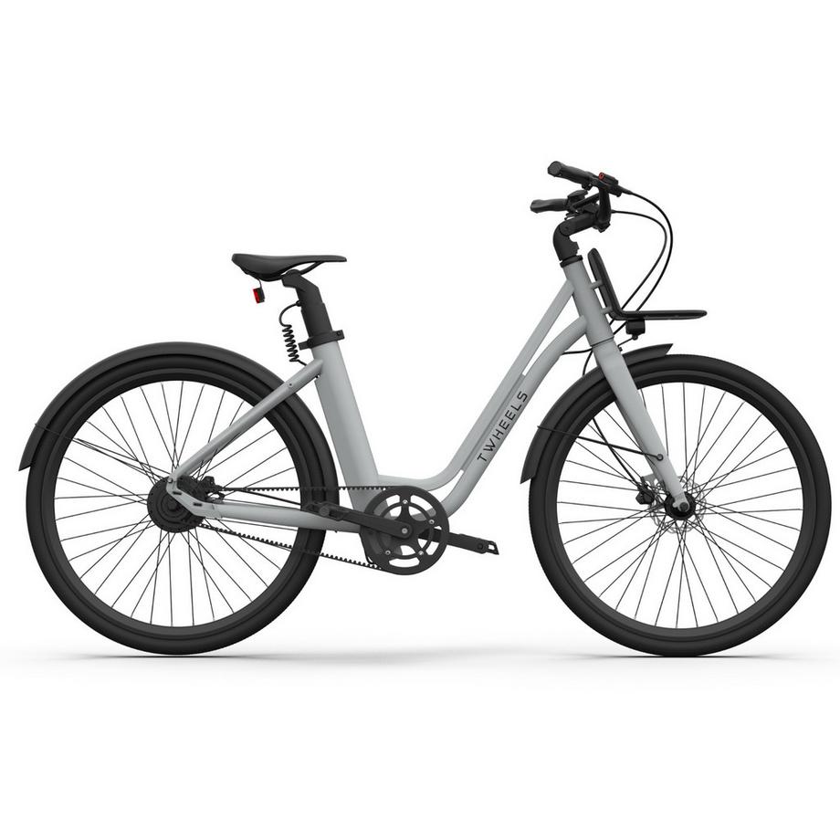 TWHEELS  Front-Gepäckträger für E-Bike City Classic 